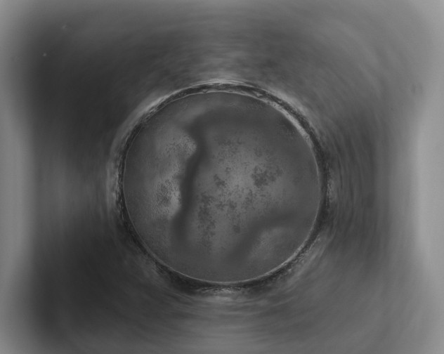 X0000102501359200808081340
