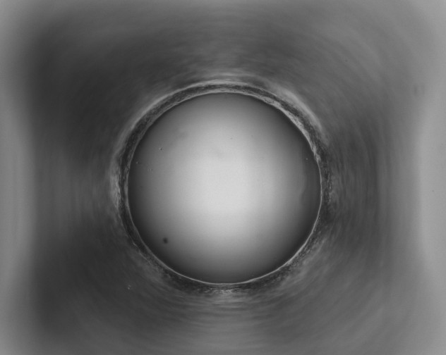 X0000102501360200808081340