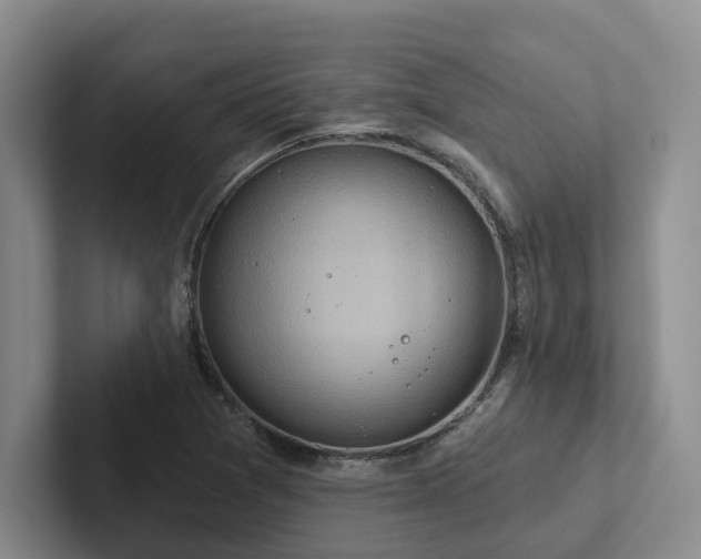 X0000102501361200808081340