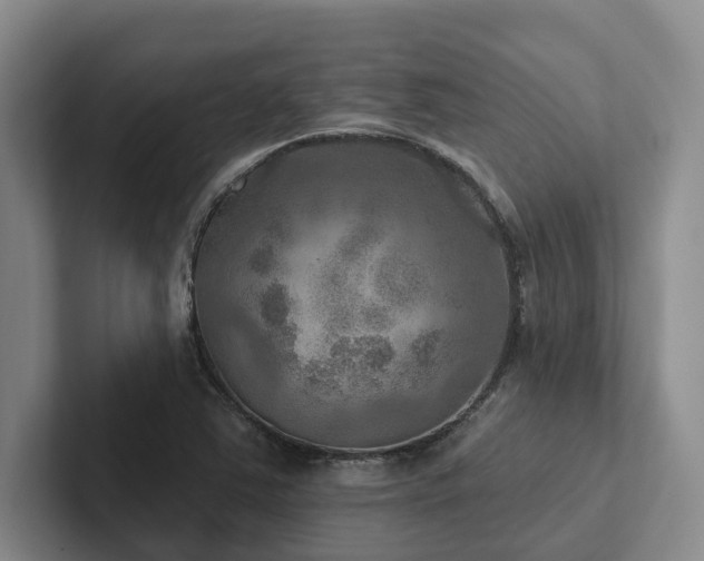 X0000102501363200808081340