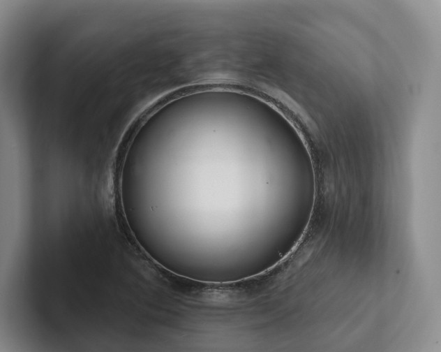 X0000102501364200808081340