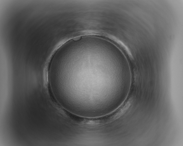 X0000102501365200808081340