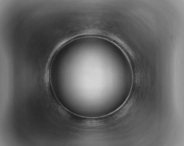 X0000102501366200808081340