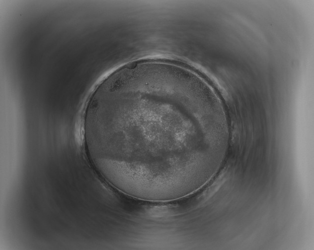 X0000102501367200808081340