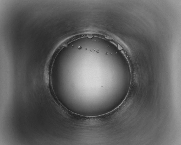 X0000102501368200808081340