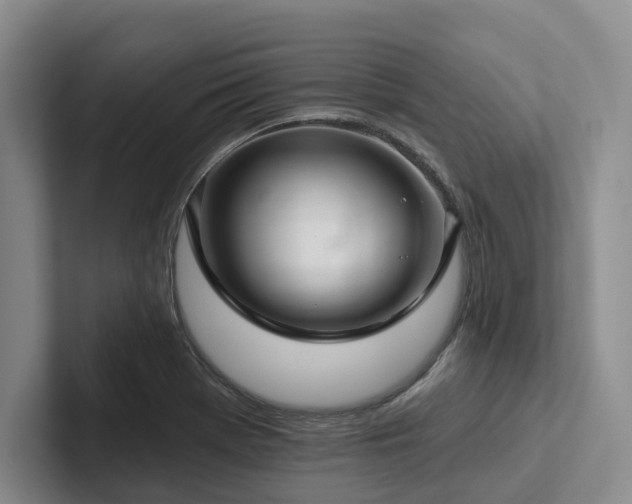 X0000102501369200808081340