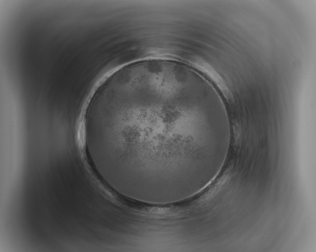 X0000102501371200808081340