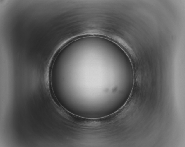 X0000102501372200808081340