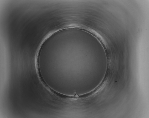X0000102501373200808081340