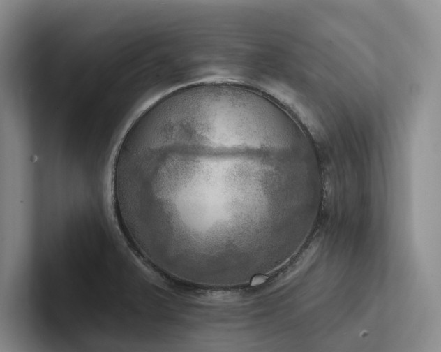X0000102501375200808081340