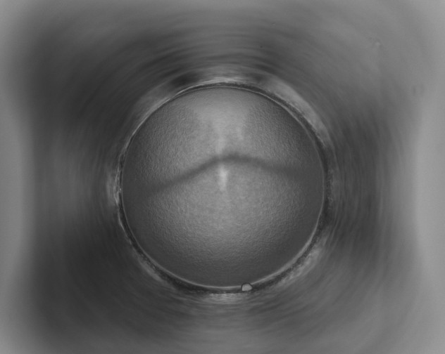 X0000102501377200808081340