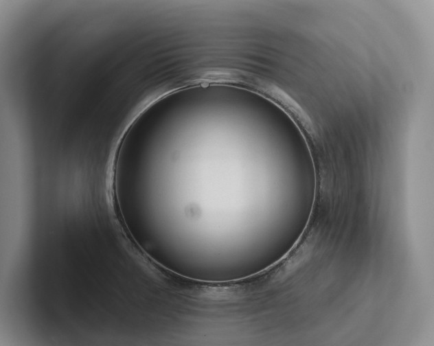X0000102501378200808081340