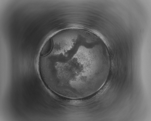 X0000102501379200808081340