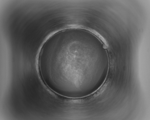 X0000102501381200808081340