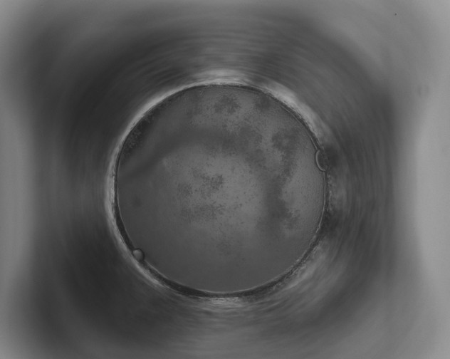 X0000102501383200808081340