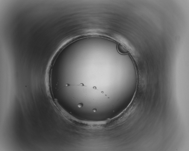 X0000102501384200808081340
