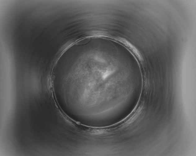 X0000102501385200808081340