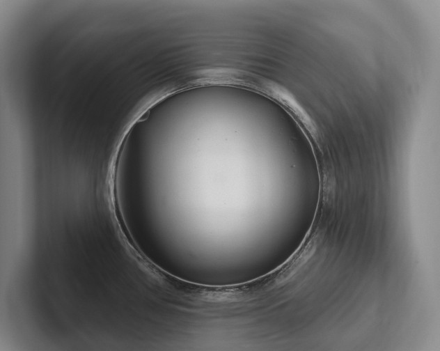 X0000102501386200808081340