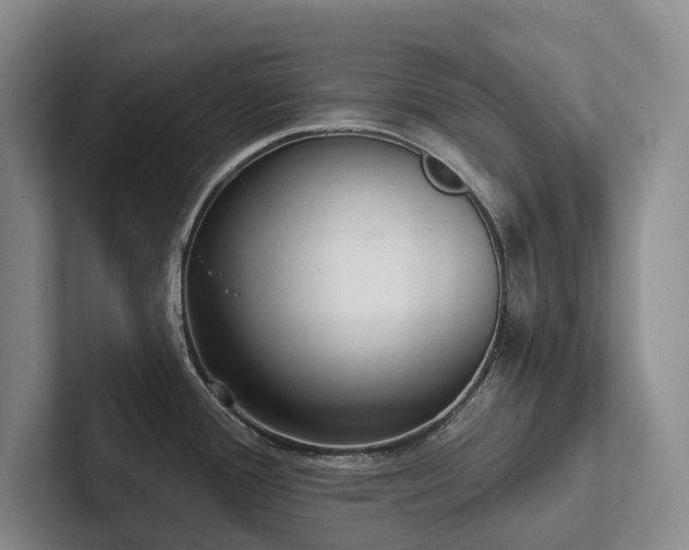 X0000102501388200808081340