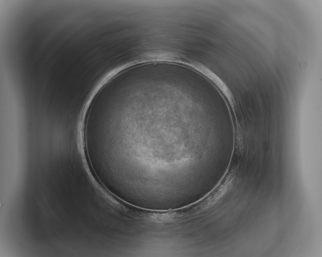 X0000102501389200808081340