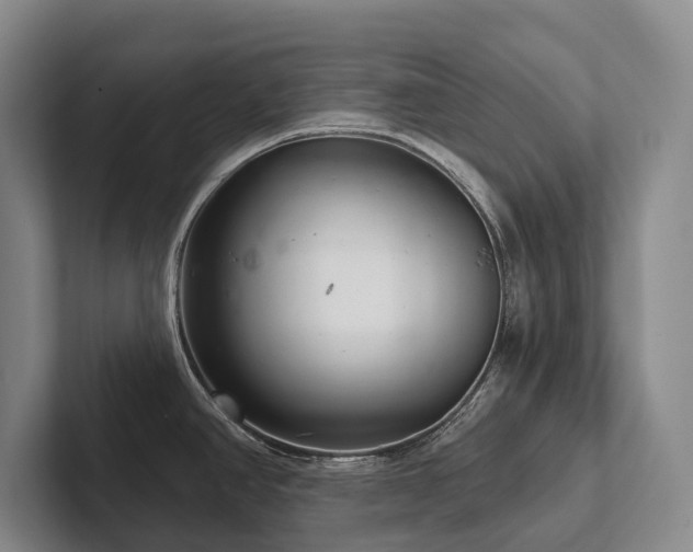 X0000102501390200808081340