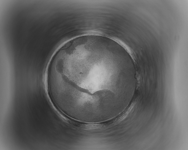 X0000102501391200808081340