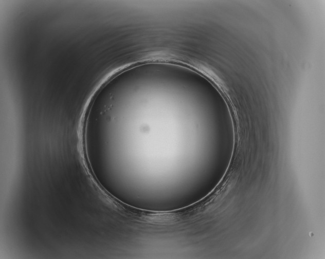 X0000102501392200808081340