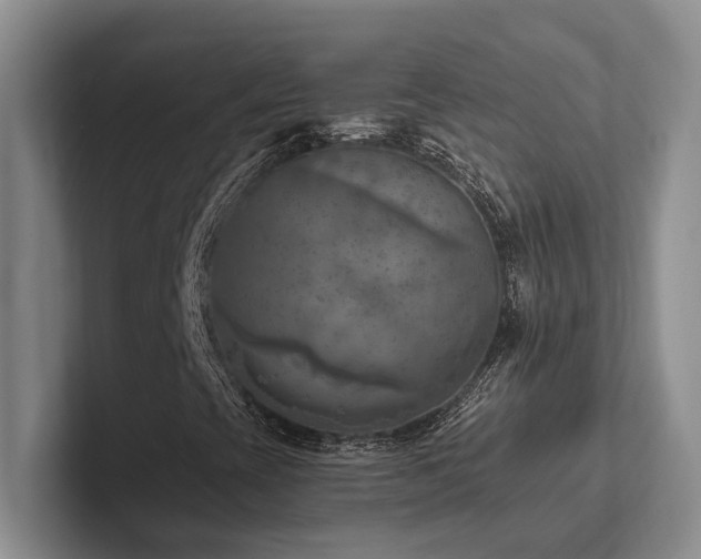 X0000102501393200808081339