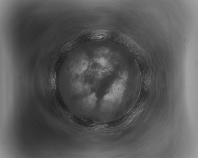 X0000102501394200808081339