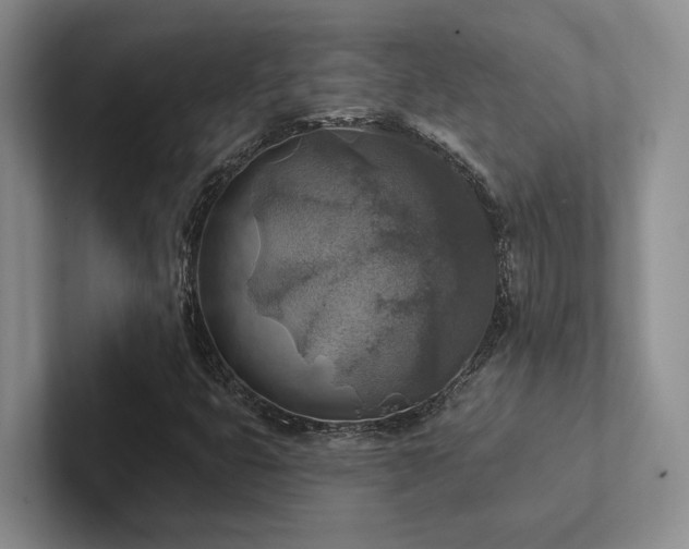 X0000102501399200808081339