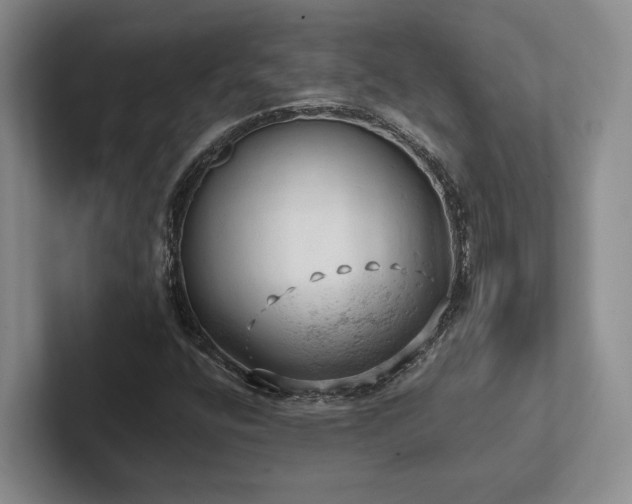 X0000102501400200808081339