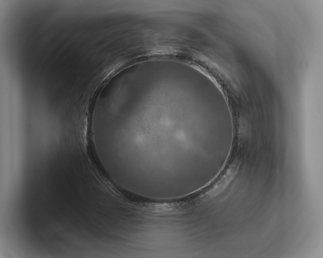 X0000102501401200808081339