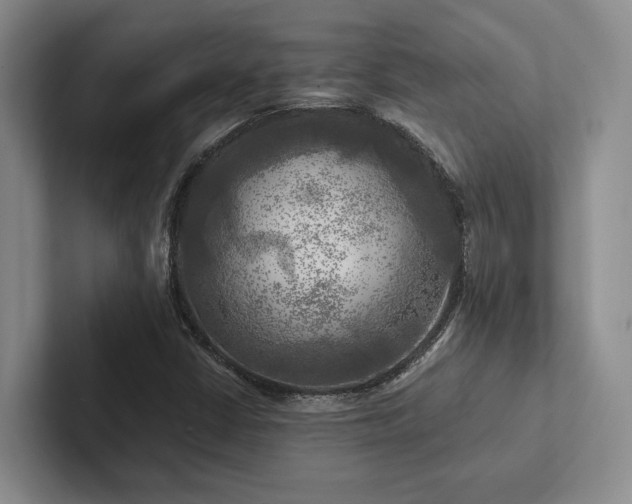 X0000102501402200808081339