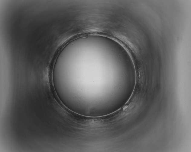 X0000102501404200808081339