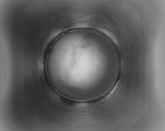 X0000102501406200808081339