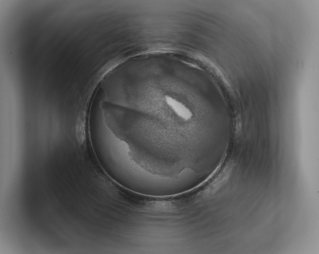 X0000102501409200808081340