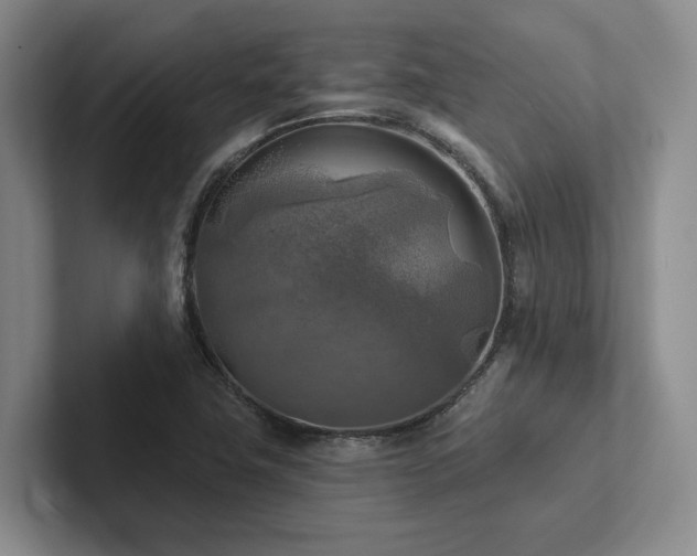 X0000102501411200808081340