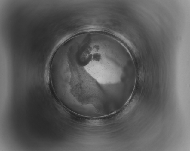 X0000102501413200808081340