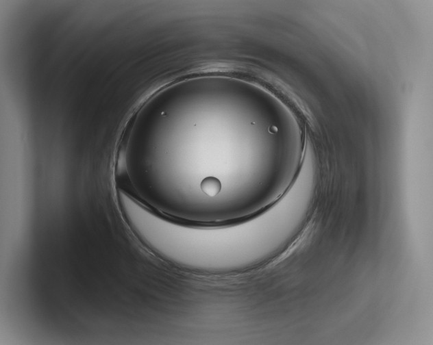 X0000102501417200808081340