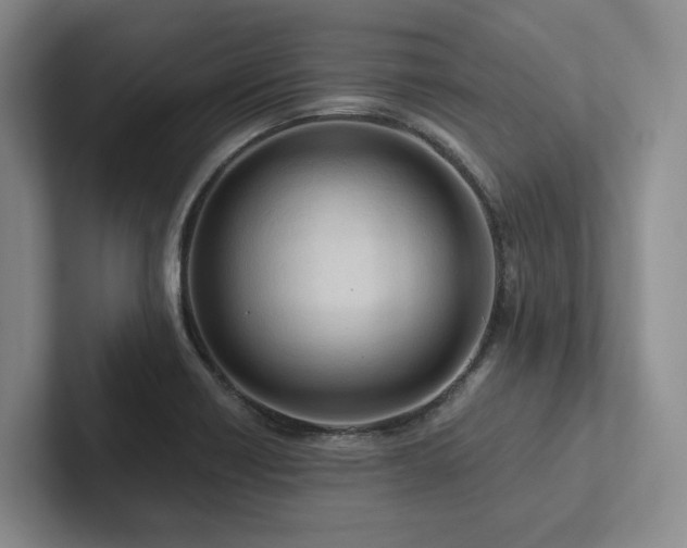 X0000102501418200808081340
