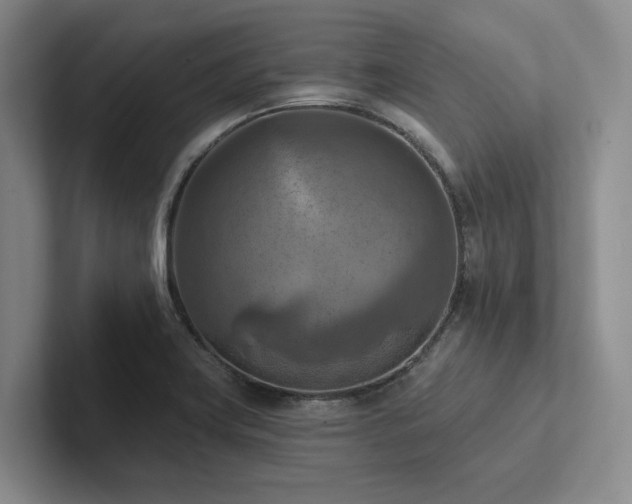 X0000102501419200808081340