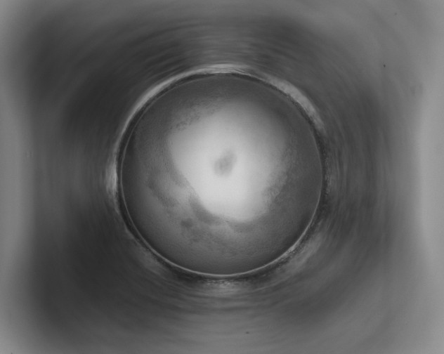 X0000102501420200808081340
