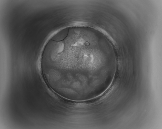 X0000102501421200808081340