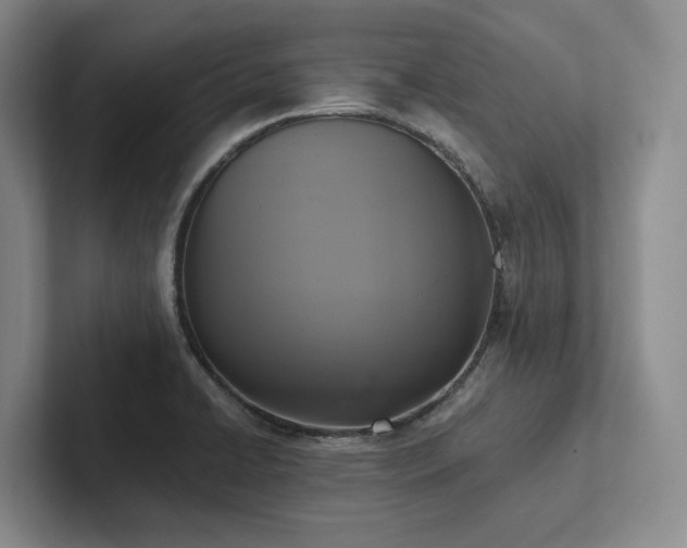 X0000102501422200808081340