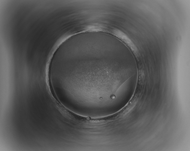 X0000102501427200808081340