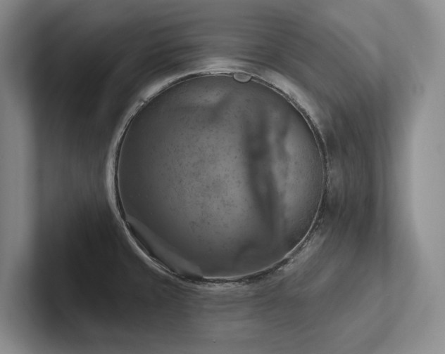 X0000102501429200808081340