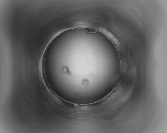 X0000102501431200808081340