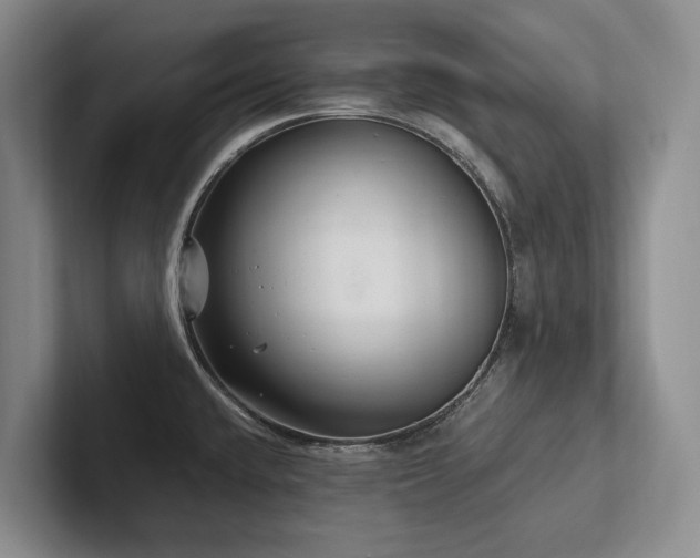 X0000102501432200808081340