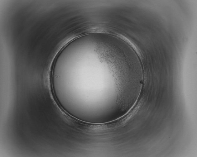 X0000102501434200808081340