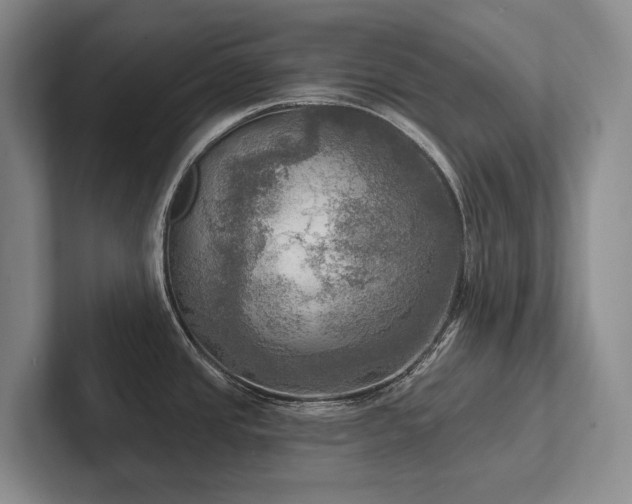 X0000102501437200808081340